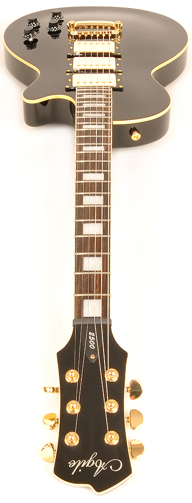 agile 2500 12 string