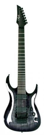 agile 7 string floyd rose