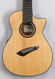 Agile Renaissance 82527 RL NA EQ 8 String Acoustic Multiscale Advanced Order (4-7-2025)