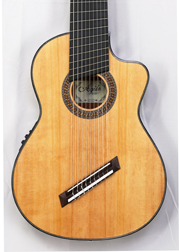 Agile Renaissance Classical 92528 RL EQ Cutaway (Nylon String) 