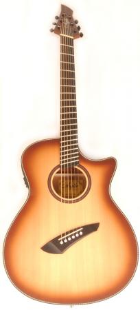 Agile 8 store string acoustic