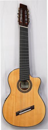 Agile Renaissance Classical 82628 RL EQ Cutaway NA (Nylon String) 