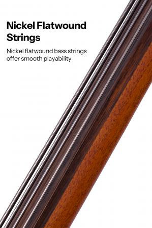 5-BAT8EFL-BASS-String