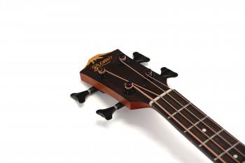 BAT8E_headstock