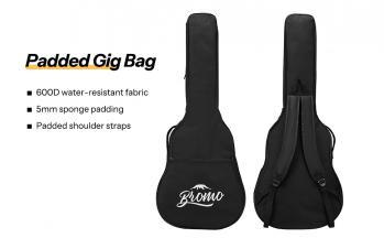 Padded-Gig-Bag