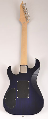 Douglas Scope 725 TBL 7 String Guitar - RondoMusic.com