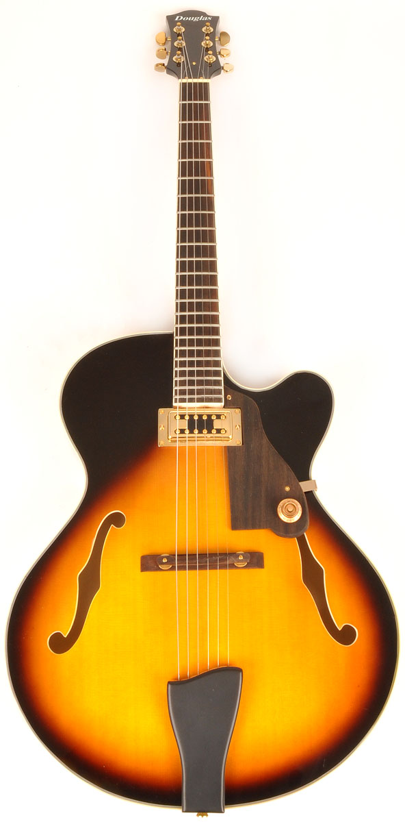 Douglas hollow on sale body guitar